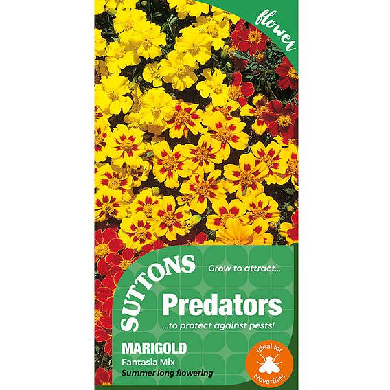 Marigold 'Fantasia Mix' - Seeds for Predators