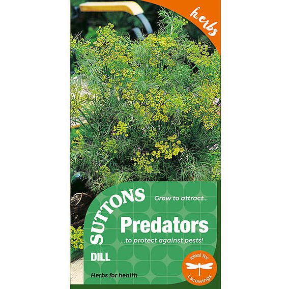 Dill Herb - Seeds