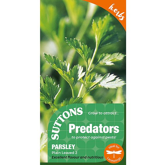 Parsley 'Plain Leaved 2' - Seeds for Predators