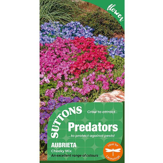 Aubrieta 'Cheeky Mix' - Seeds for Predators
