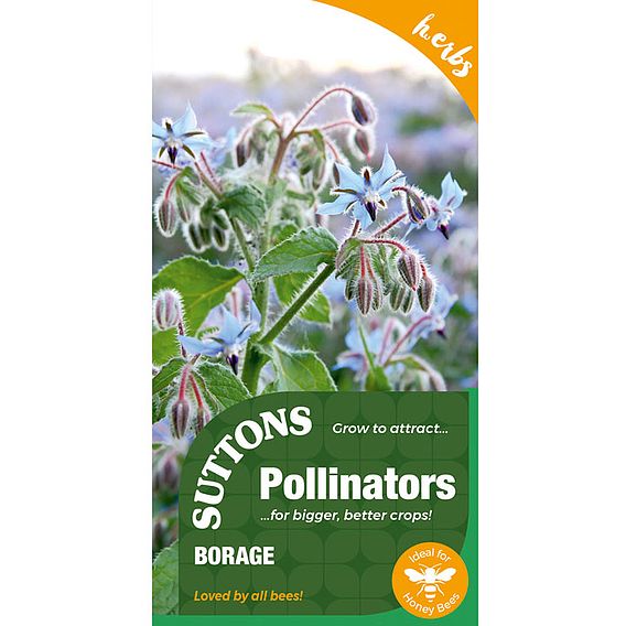 Borage - Herb Seeds