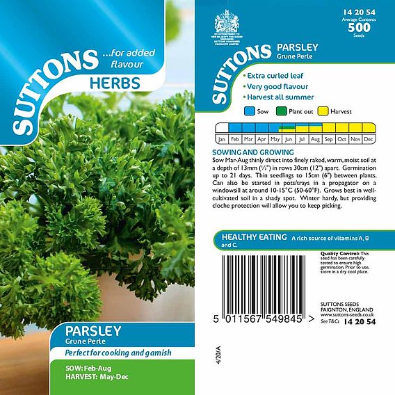 Parsley 'Grune Perle' - Seeds