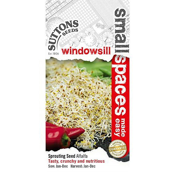 Alfalfa Sprouting - Seeds