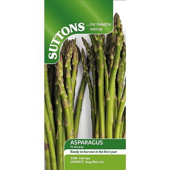 Asparagus F1 'Ariane' - Seeds