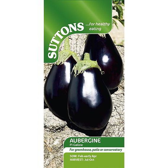 Aubergine Seeds - F1 Galine