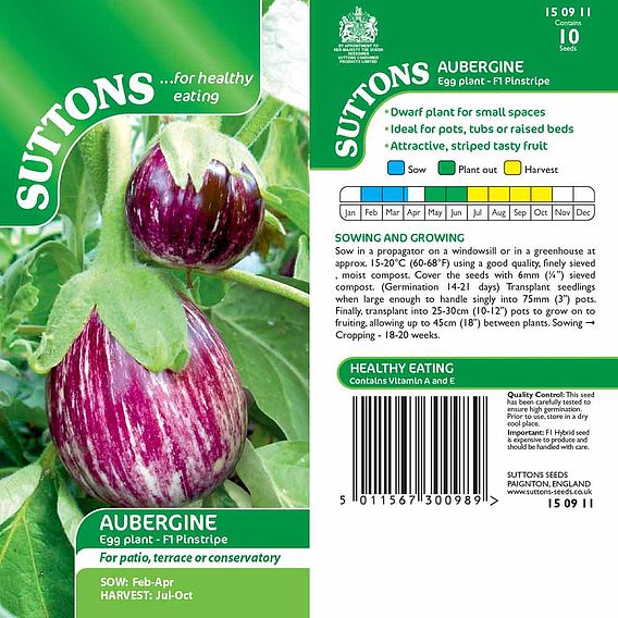 Aubergine Seeds - F1 Pinstripe