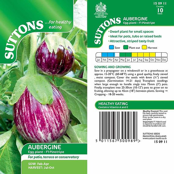 Aubergine F1 'Pinstripe' - Seeds