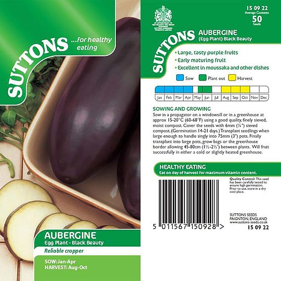 Aubergine 'Black Beauty' - Seeds