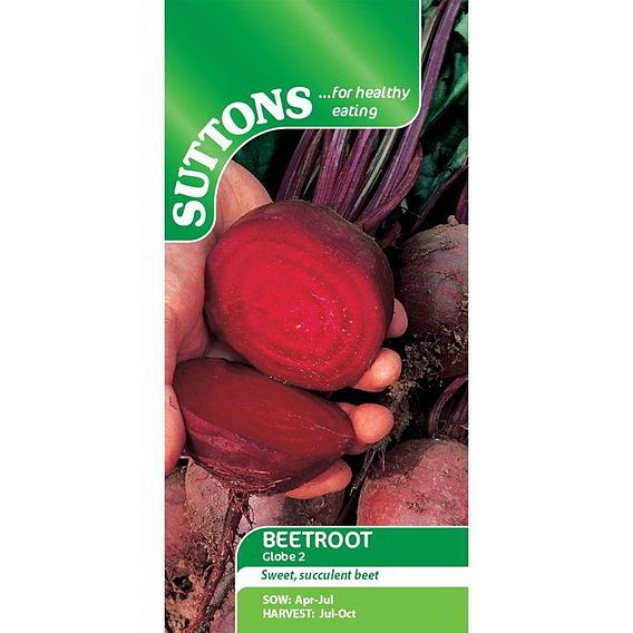 Beetroot 'Globe 2' - Seeds