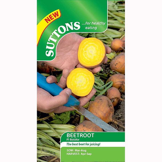 Beetroot F1 'Boldor' - Seeds