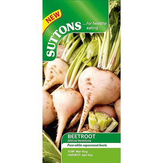 Beetroot 'Albina Verduna' - Seeds