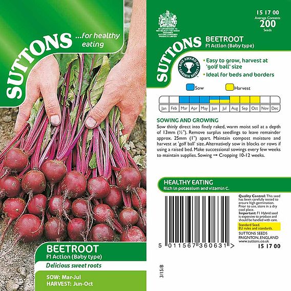 Beetroot F1 'Action' - Seeds