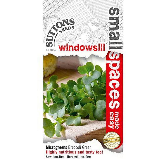 Sprouting 'Broccoli Green-Sprouting' - Seeds