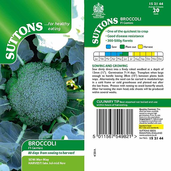 Broccoli 'Gemini F1 ' - Seeds