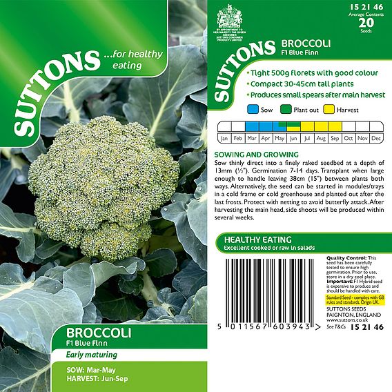 Broccoli Seeds - Blue Finn F1