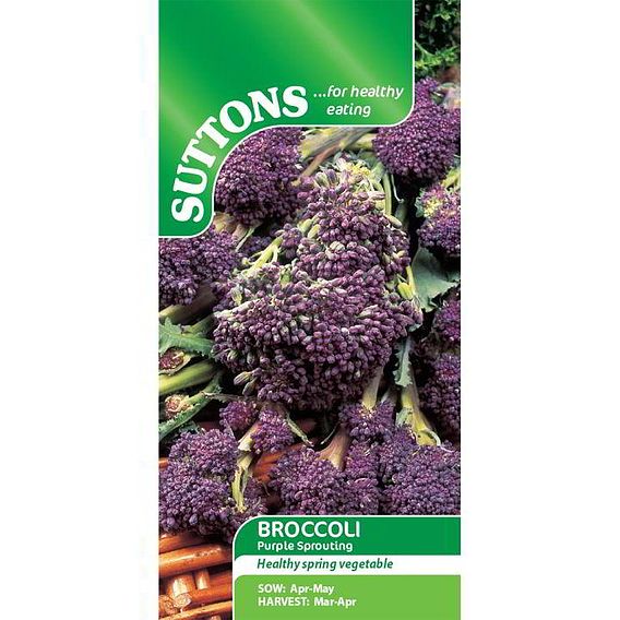 Broccoli Seeds - Purple Sprouting