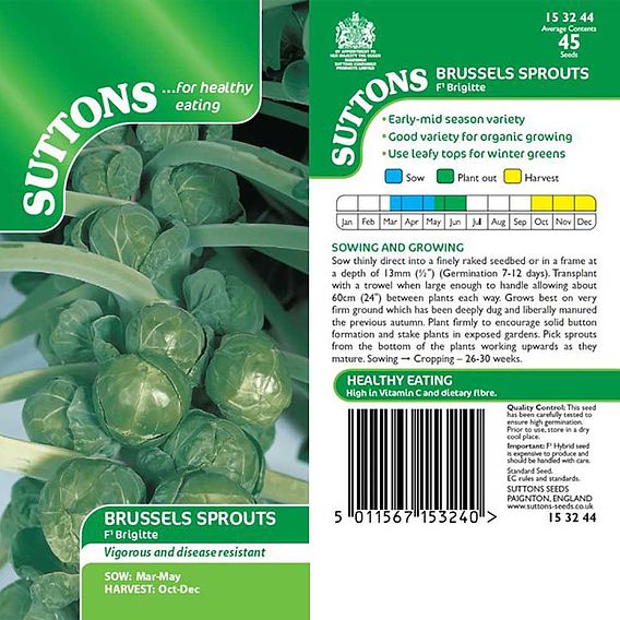 Brussels Sprout F1 'Brigitte' - Seeds
