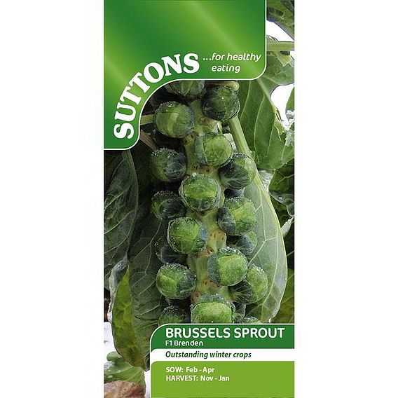 Brussels Sprout Seeds - F1 Brenden