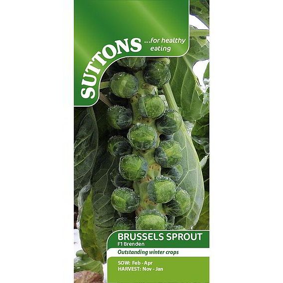 Brussels Sprout F1 'Brenden' - Seeds
