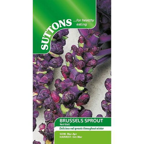 Brussels Sprout 'Red Ball' - Seeds