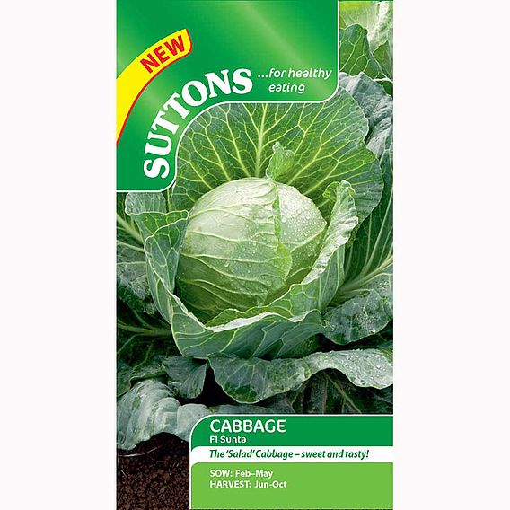 Cabbage Seeds - F1 Sunta