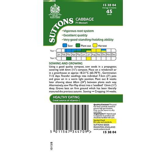 Cabbage F1 'Mozart' - Seeds