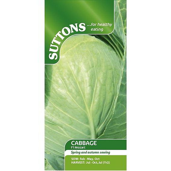 Cabbage F1 'Mozart' - Seeds