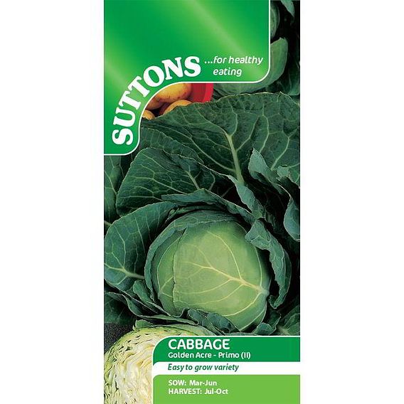 Cabbage 'Golden Acre Primo' - Seeds