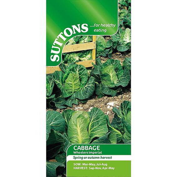Cabbage 'Wheelers Imperial' - Seeds