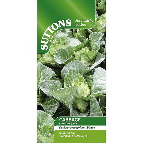 Cabbage F1 'Winterjewel' - Seeds