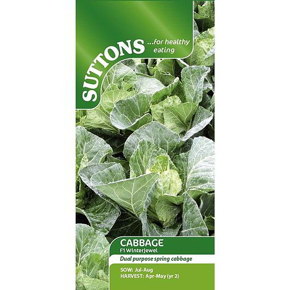 Cabbage Seeds - F1 Winterjewel