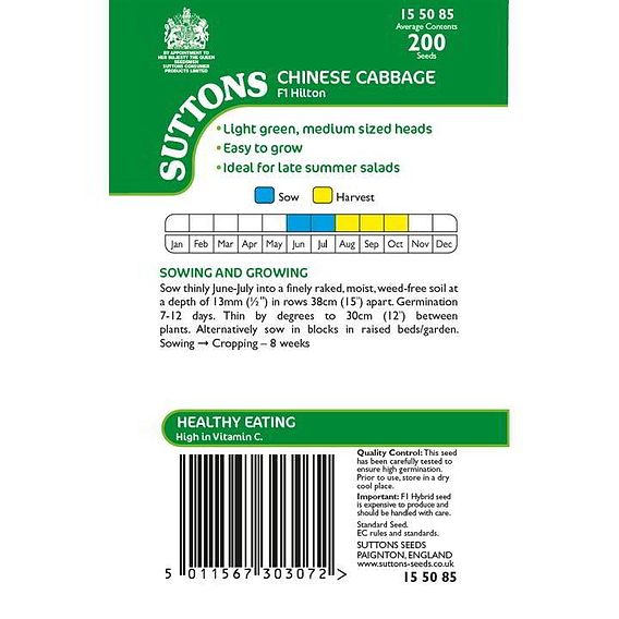 Chinese Cabbage 'Hilton' - Seeds