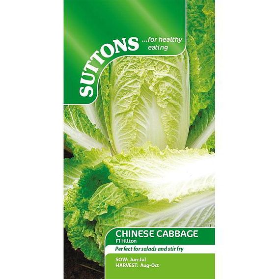 Chinese Cabbage 'Hilton' - Seeds