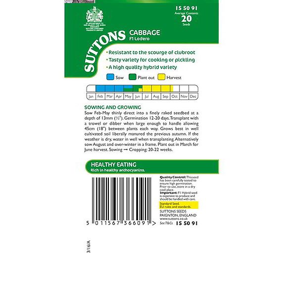 Cabbage F1 'Lodero' - Seeds