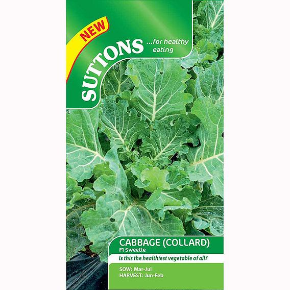 Cabbage (Collard) F1 'Sweetie' - Seeds