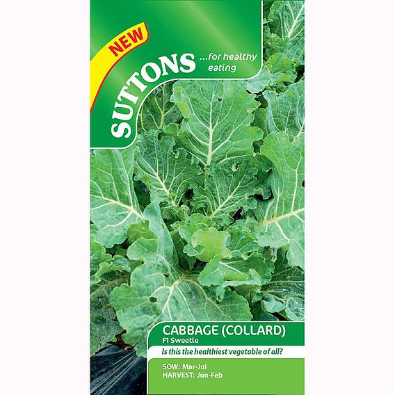 Cabbage (Collard) Seeds - F1 Sweetie