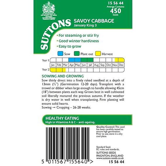 Cabbage 'January King 3' - Seeds