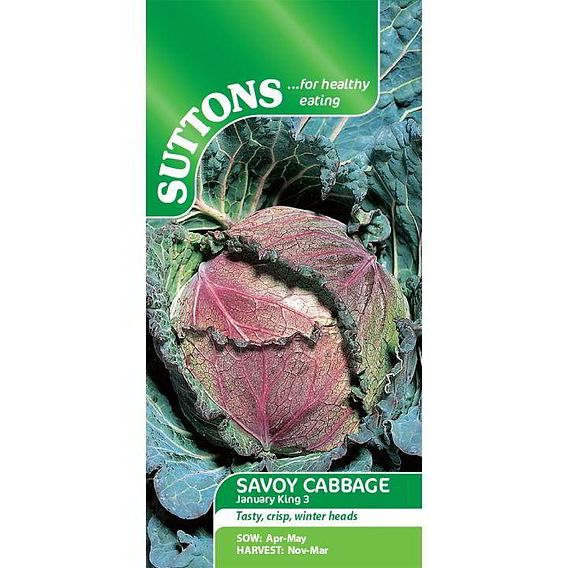 Cabbage Seeds - January King 3