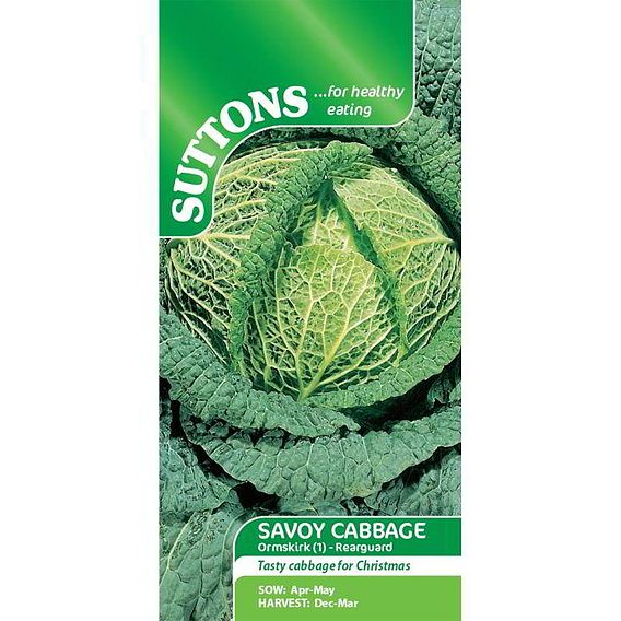 Cabbage (Savoy) 'Ormskirk (1) Rearguard' - Seeds