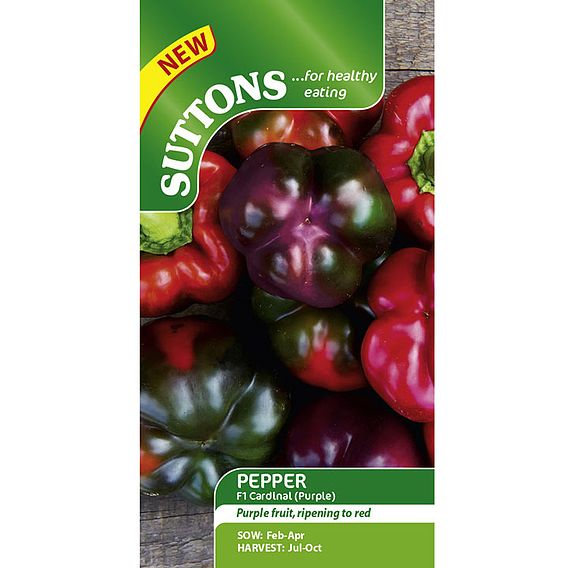 Pepper Seeds - F1 Cardinal (Purple)