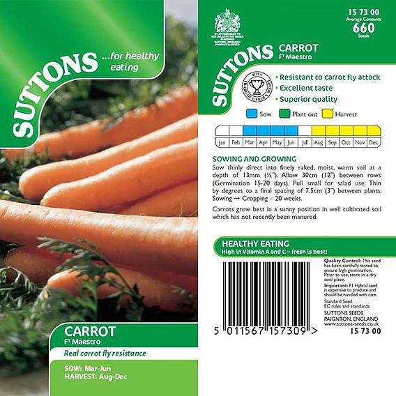 Carrot F1 'Maestro' - Seeds