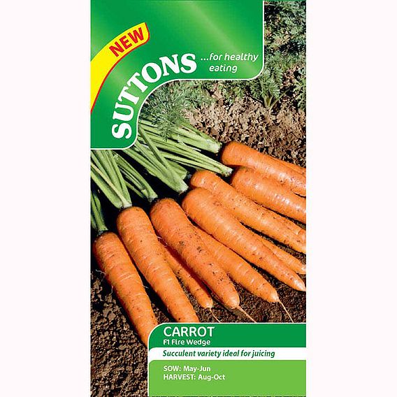 Carrot Seeds - F1 Fire Wedge