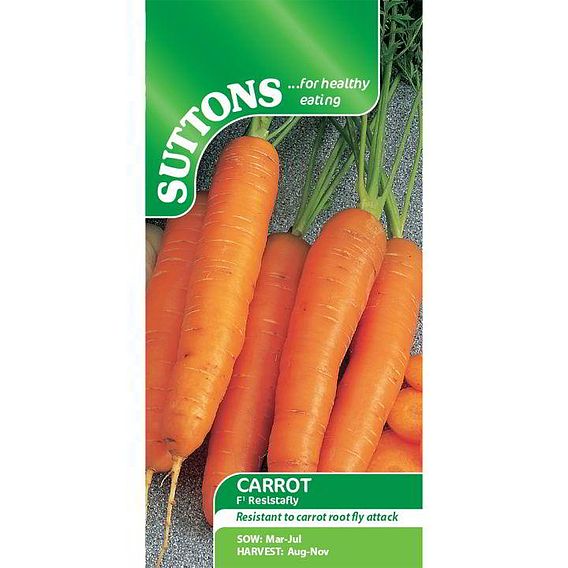 Carrot Seeds - F1 Resistafly