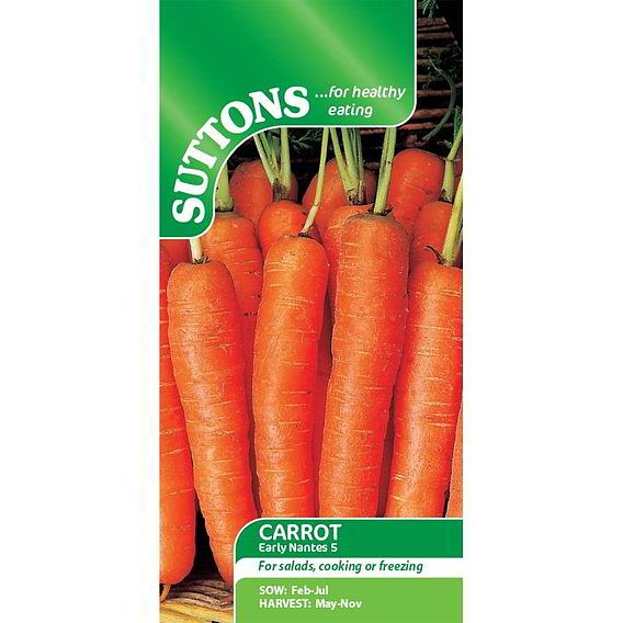 Carrot Seeds - Early Nantes 5