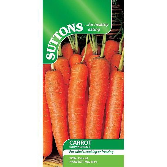 Carrot 'Early Nantes 5' - Seeds