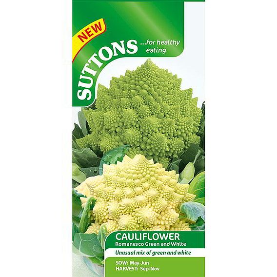 Cauliflower Seeds - Romanesco White and Green