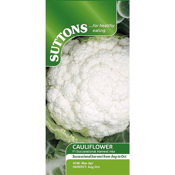 Cauliflower F1 'Successional Harvest Mix' - Seeds