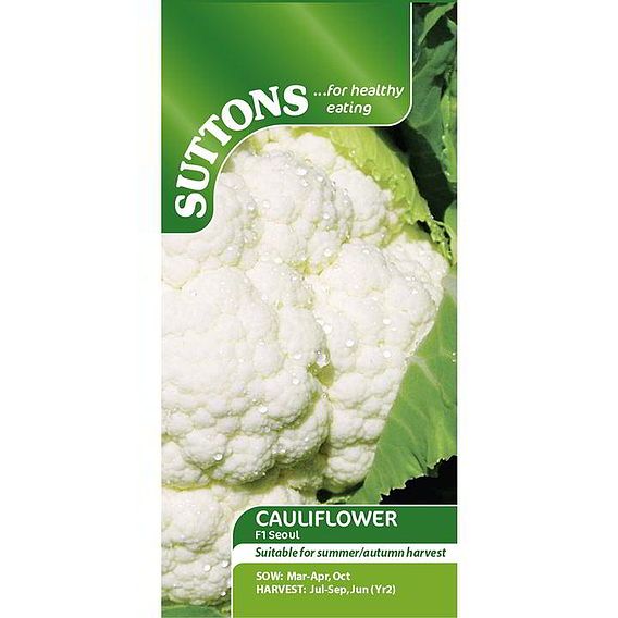 Cauliflower Seeds - F1 Seoul