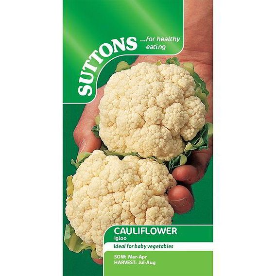 Cauliflower 'Igloo' - Seeds