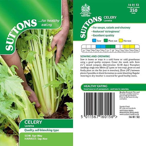 Celery 'Loretta' - Seeds